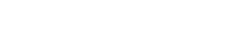 South Pioneers |  Pigeon Hunting in Argentina