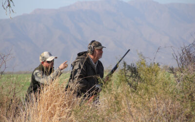 What Does a Typical Day of Argentina Dove Hunting Look Like?