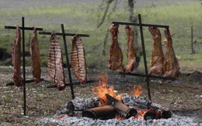 Unforgettable Argentina Hunting Trips with South Pioneers: Adventure Awaits