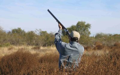 Best Dove Hunting in Argentina with South Pioneers