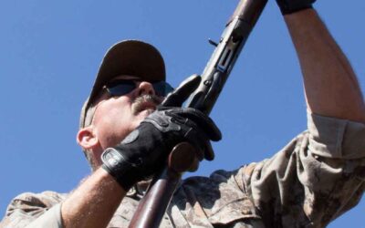 The Best Dove Hunting Destinations in Argentina with South Pioneers