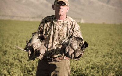 World-Class Dove Hunting Experiences with South Pioneers