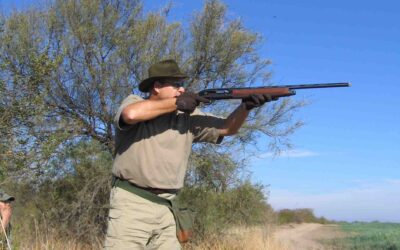 Exceptional Dove Hunting Packages in Argentina with South Pioneers