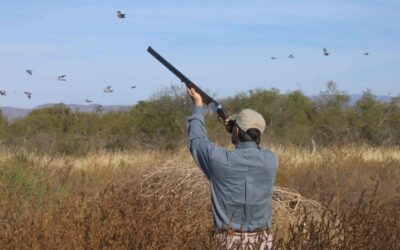 Guided dove hunting trips Argentina