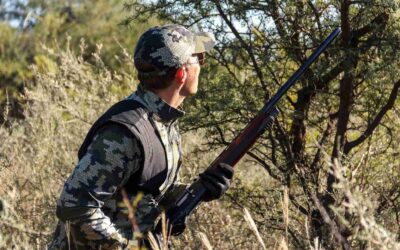 The Thrill and Adventure of Dove Shooting: A Beginner’s Guide